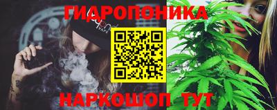 PSILOCYBIN Бердск