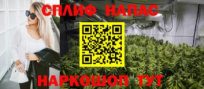 PSILOCYBIN Бердск