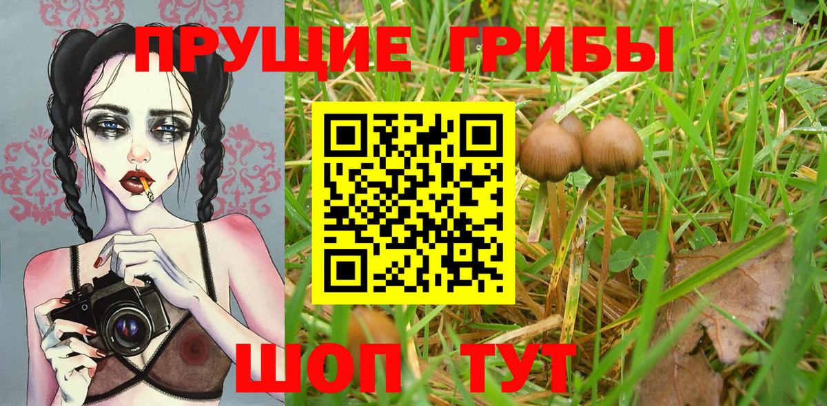 магазин продажи   Галлюциногенные грибы GOLDEN TEACHER  Вход с VPN  Богородицк 