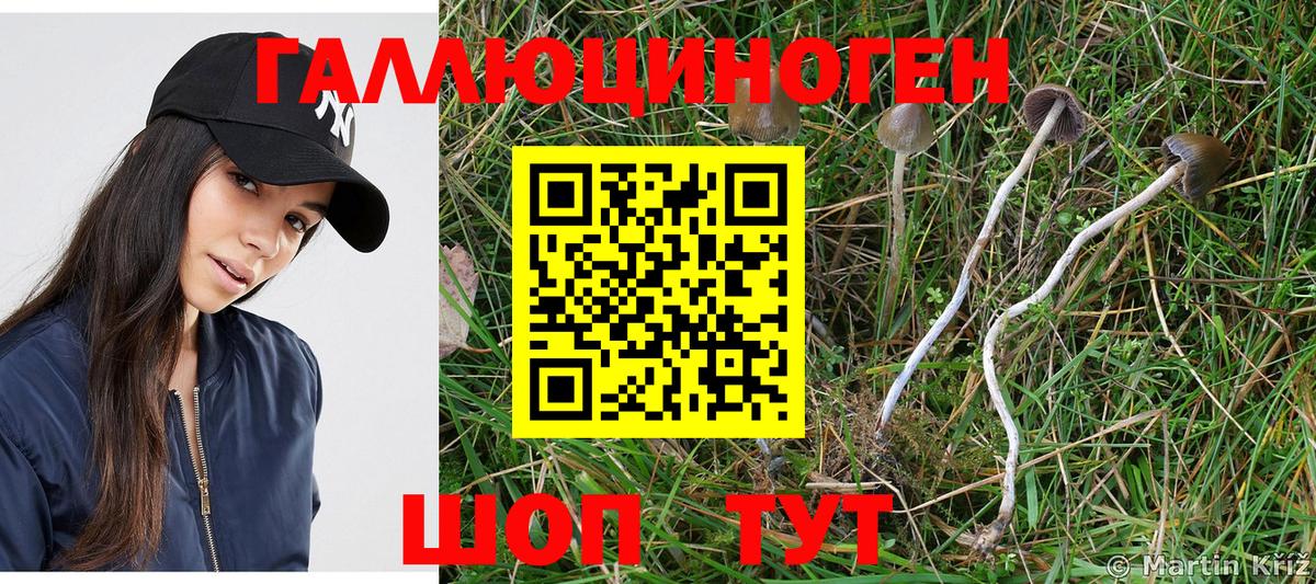 Псилоцибиновые грибы MAGIC MUSHROOMS Богородицк